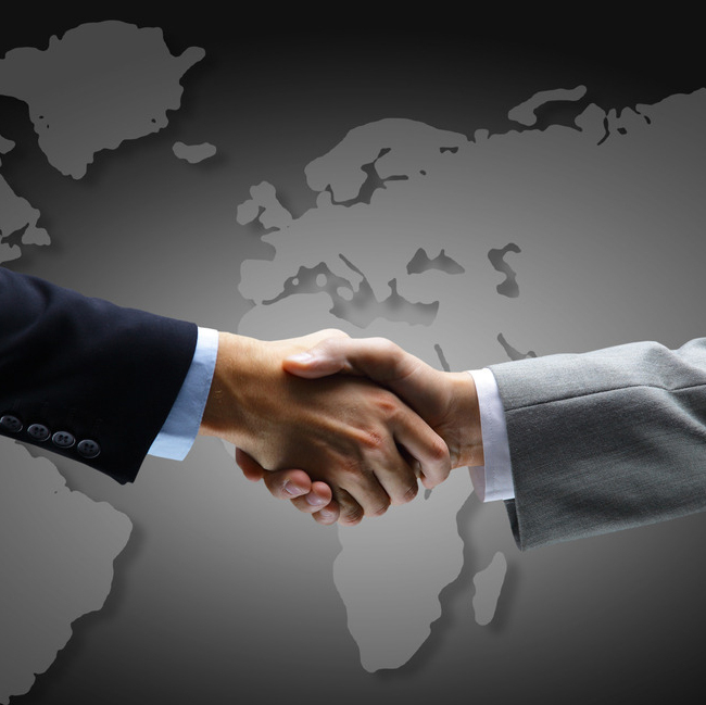 معطف واضح للسيارة